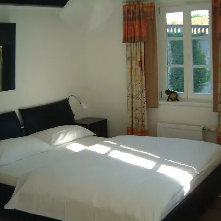 Apartment Kirschgarten Rochusstrasse *