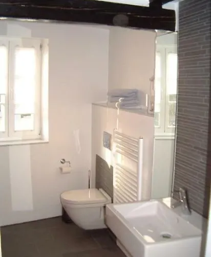 Kirschgarten Rochusstrasse 公寓 美因茨