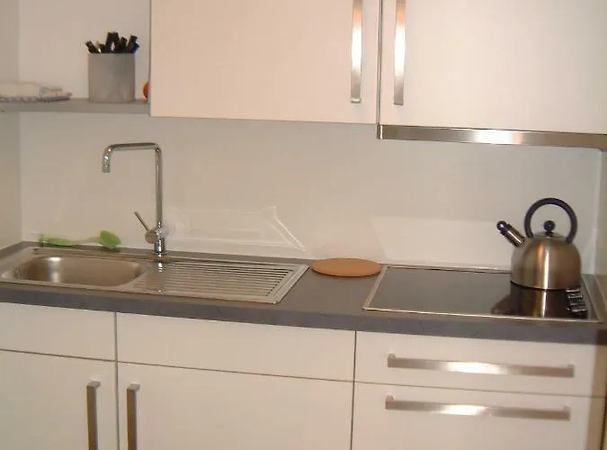 Kirschgarten Rochusstrasse 公寓 *